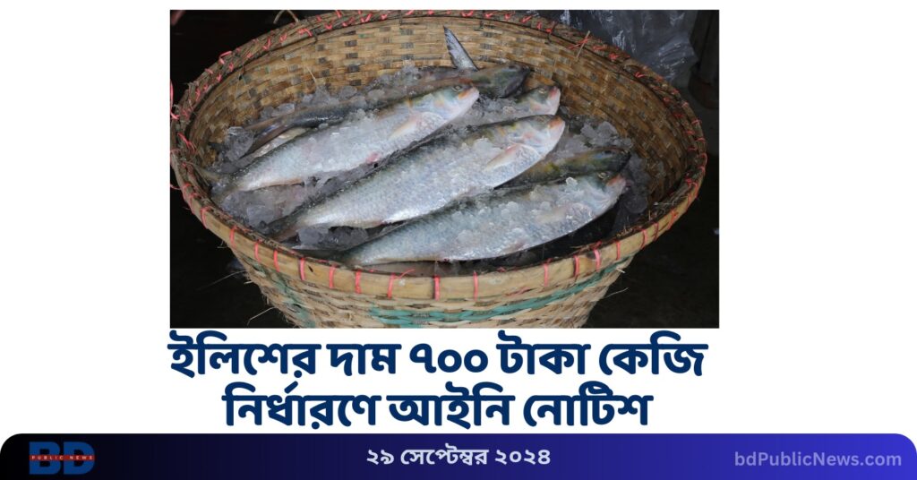 ilish price set at 700 taka per kg legal notice bd public news